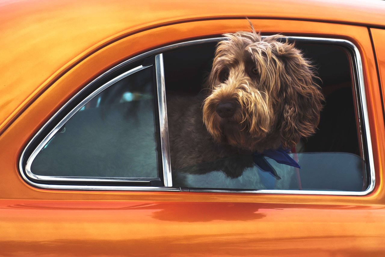 Top SF Realtor POV: 10 Things About My Car