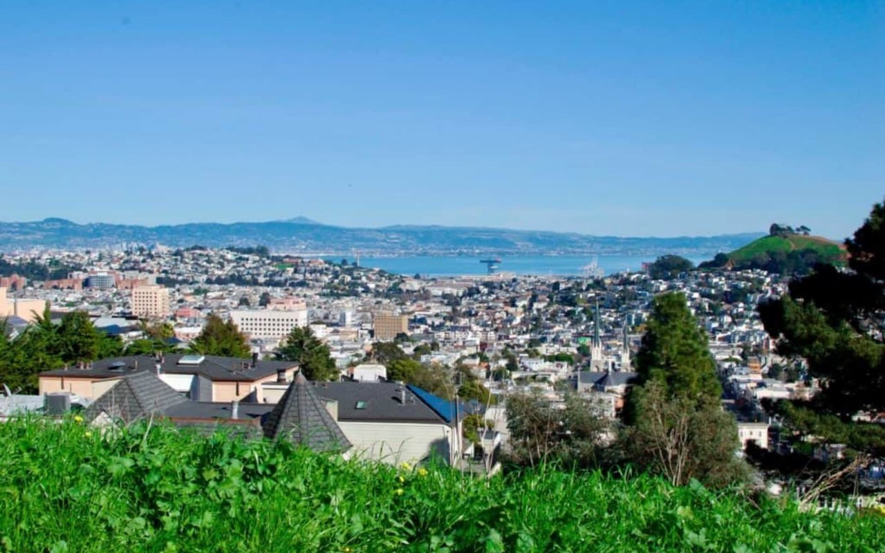 Panoramic city and bay view from a green hillside, with rooftops in the foreground.