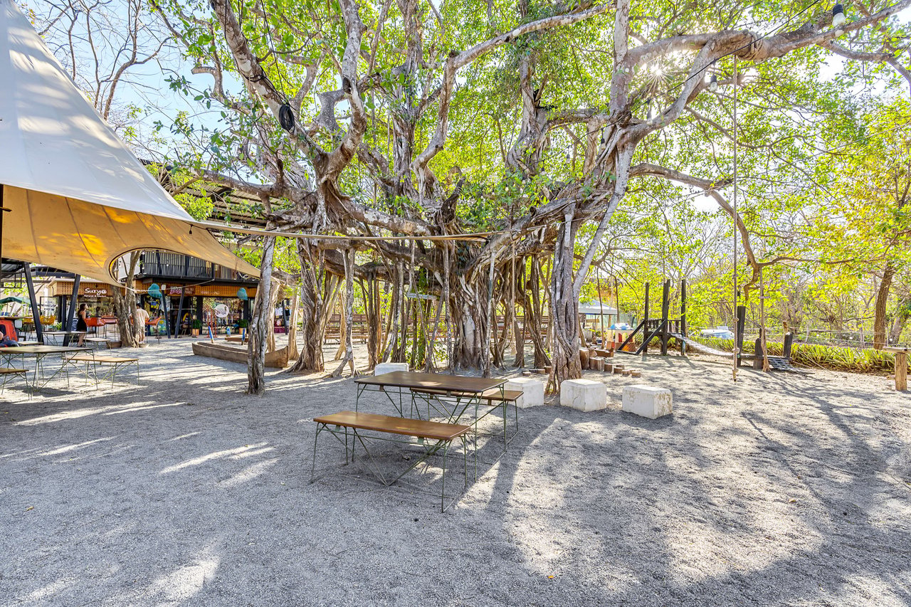 La Esquina de Avellanas | The Premier Commercial Plaza in Playa Avellanas, Costa Rica