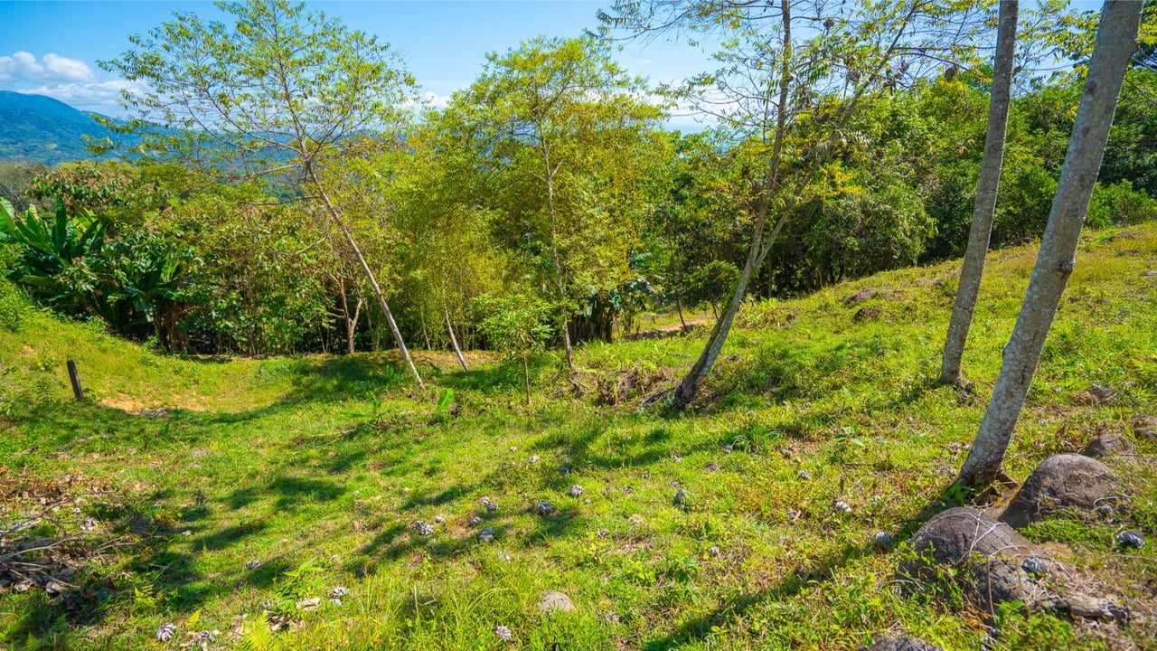 Exclusive Ocean View Building Lot, Ojochal, Puntarenas