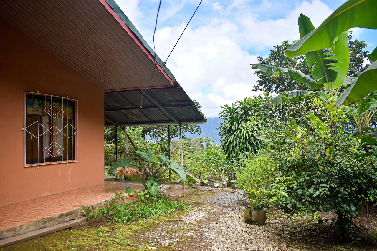 Finca Rosales | A Natural Paradise with Modern Comforts!