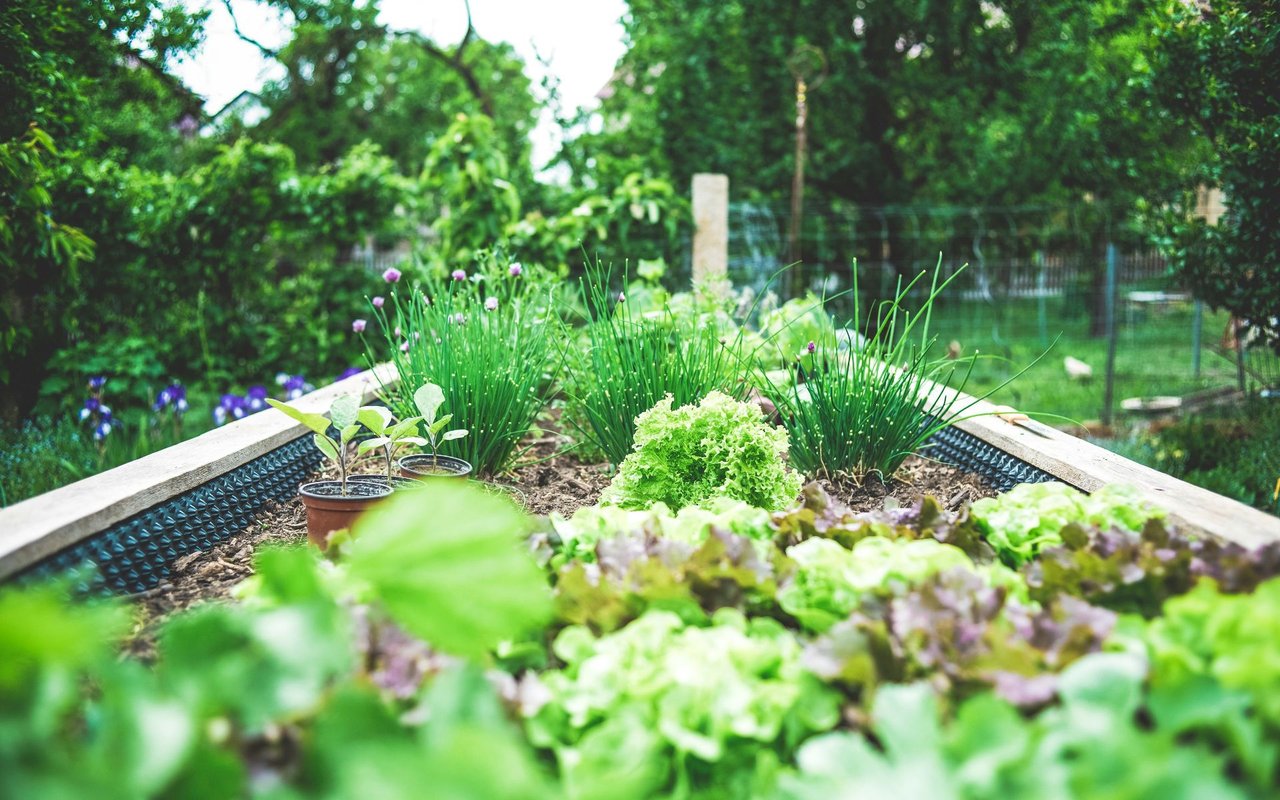 DIY Garden Projects to Enhance Your Spring Landscaping