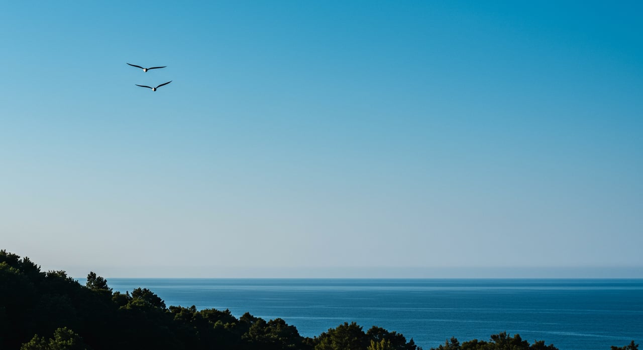 Pano Ocean View in Del Mar - SOLD!