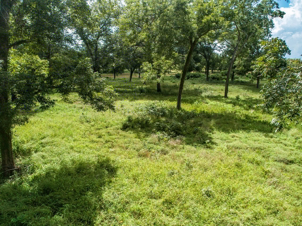 Lovers Lane River Ranch | 140± Acres | DeWitt County