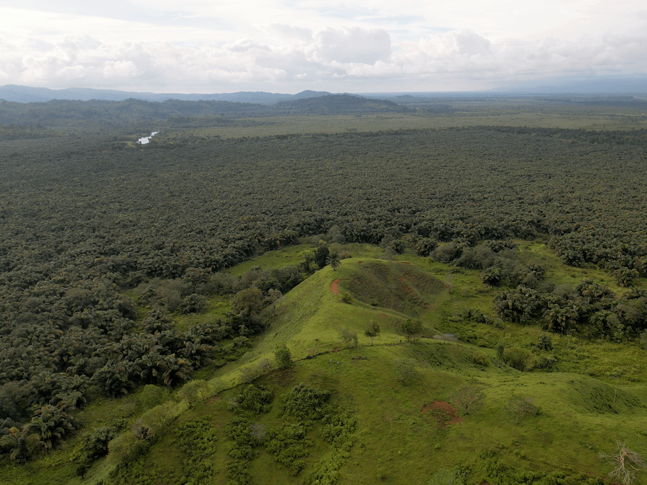 382 Acres of Sierpe River Wild Lands