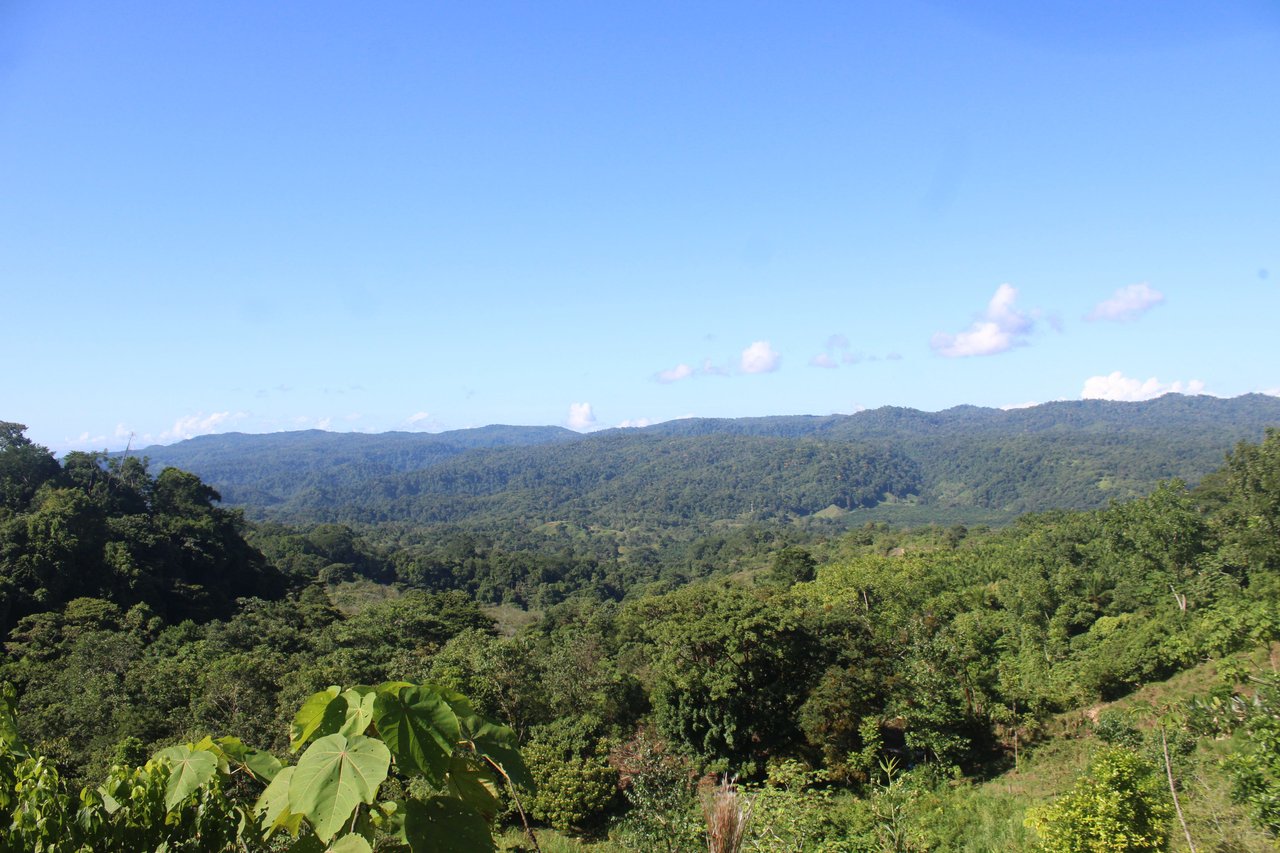 90 acre Farm, Inexpensive with lots of potential close to Rio Claro