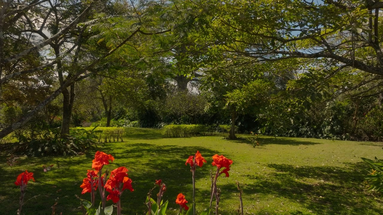 Prime Development Land for Sale La Guacima, Guacima, Alajuela