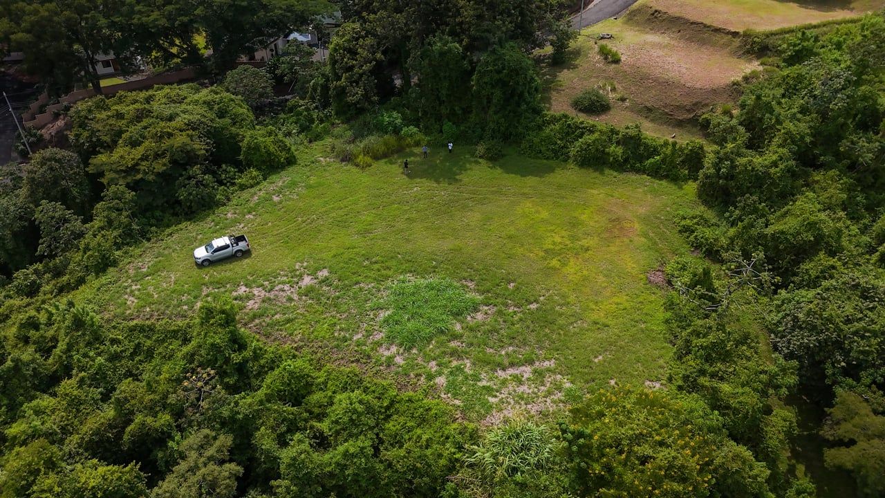 Subdivided Mountain View Land, Atenas, Alajuela