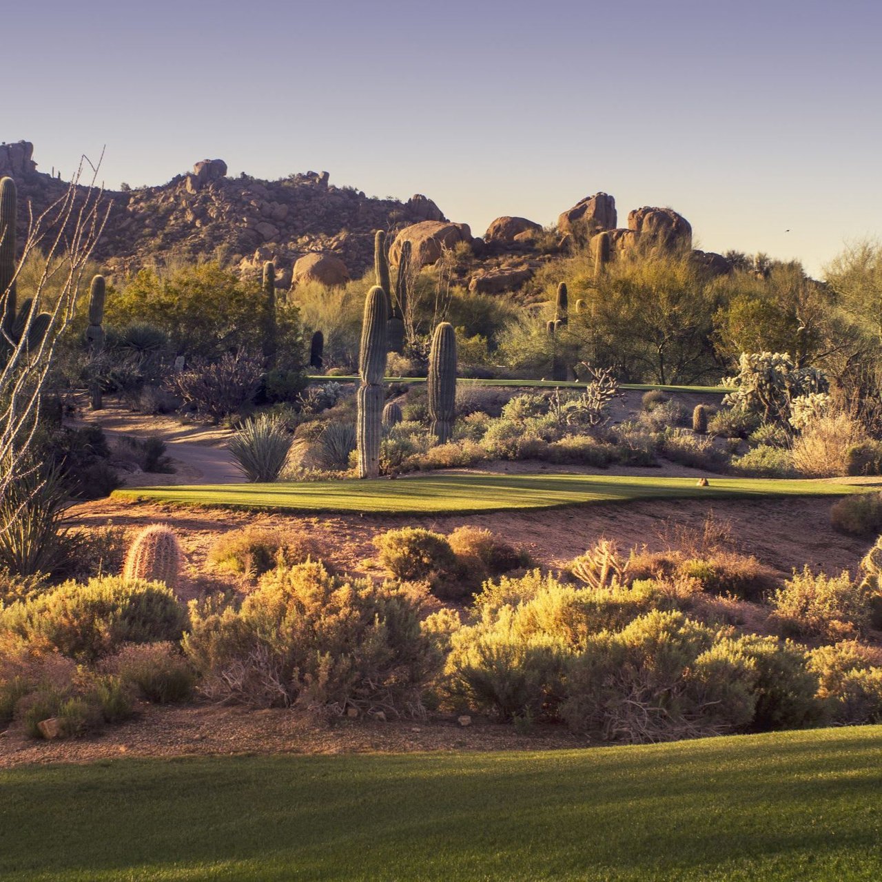 Oro Valley