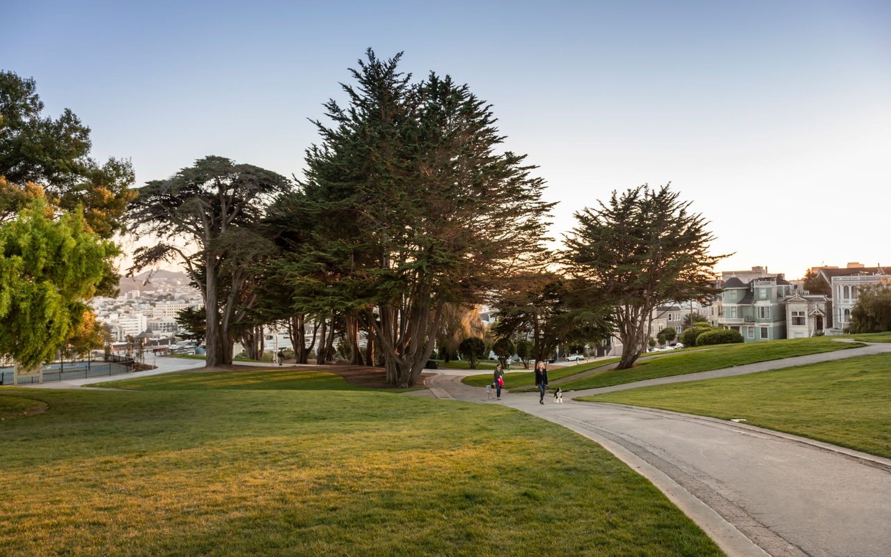Elegant Home Fronting Alta Plaza Park