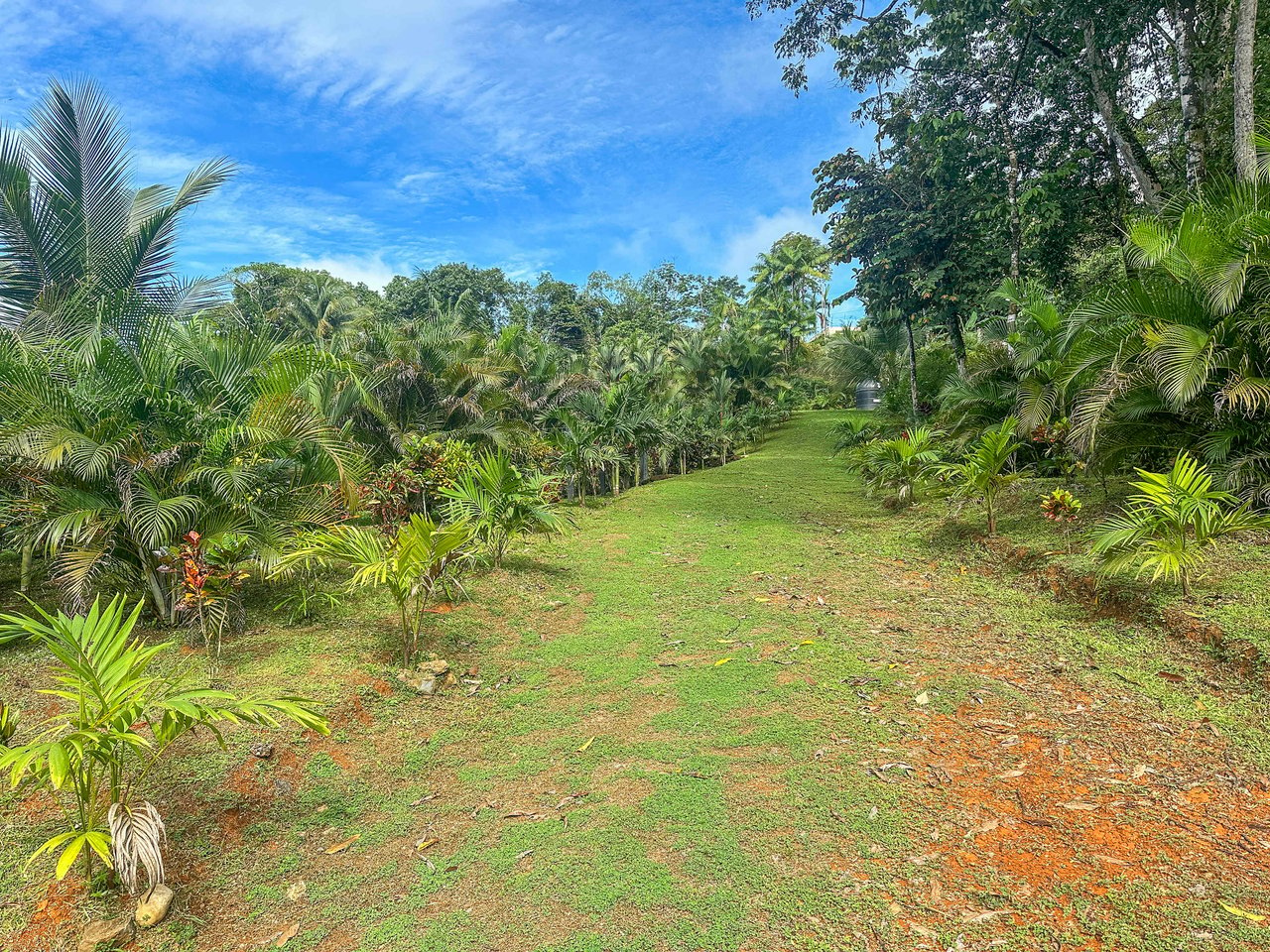 Welcome to your dream property in the heart of Cinco Ventanas, Costa Rica.