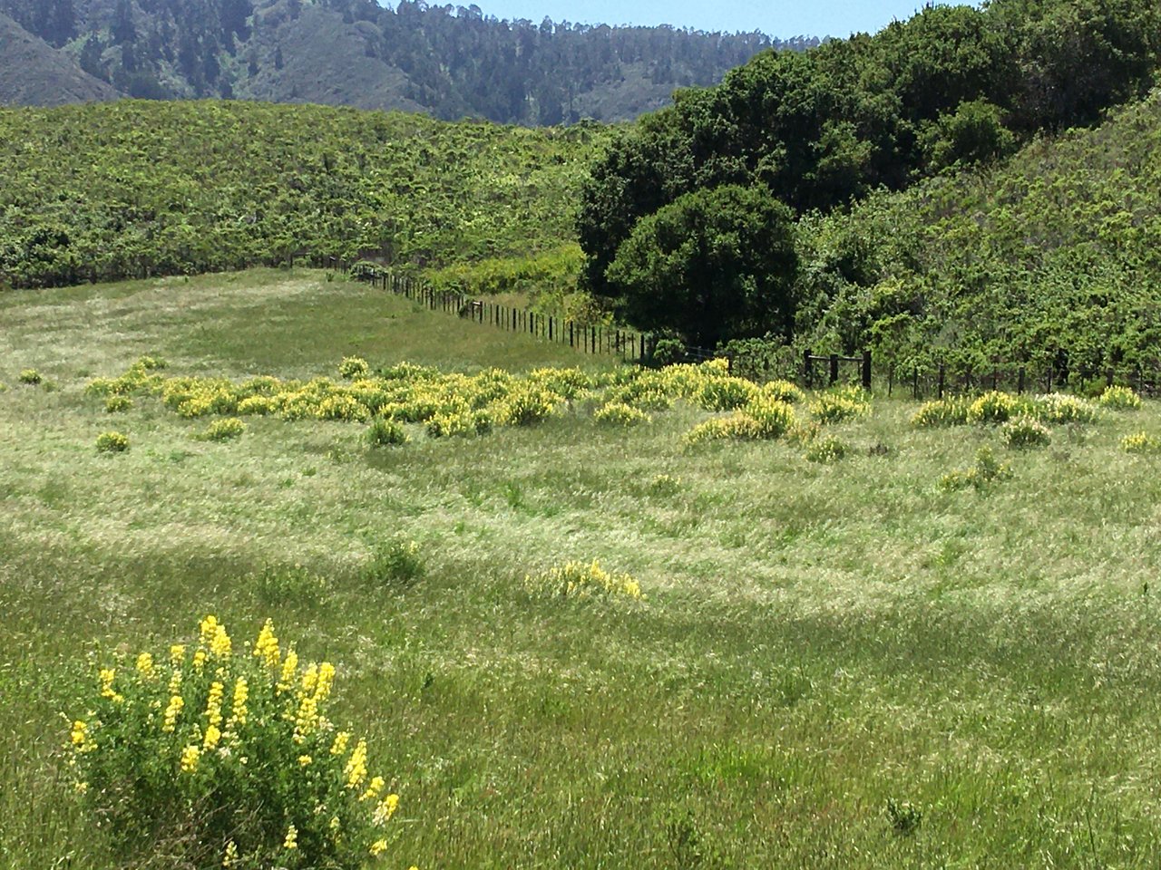 Carmel Valley Village