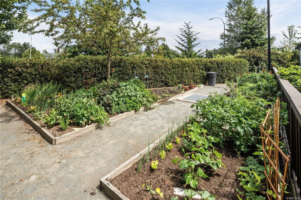302-3815 Rowland Ave
