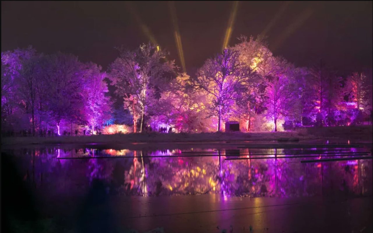 Morton Grove Arboretum Illumination: Your Holiday Must Visit!