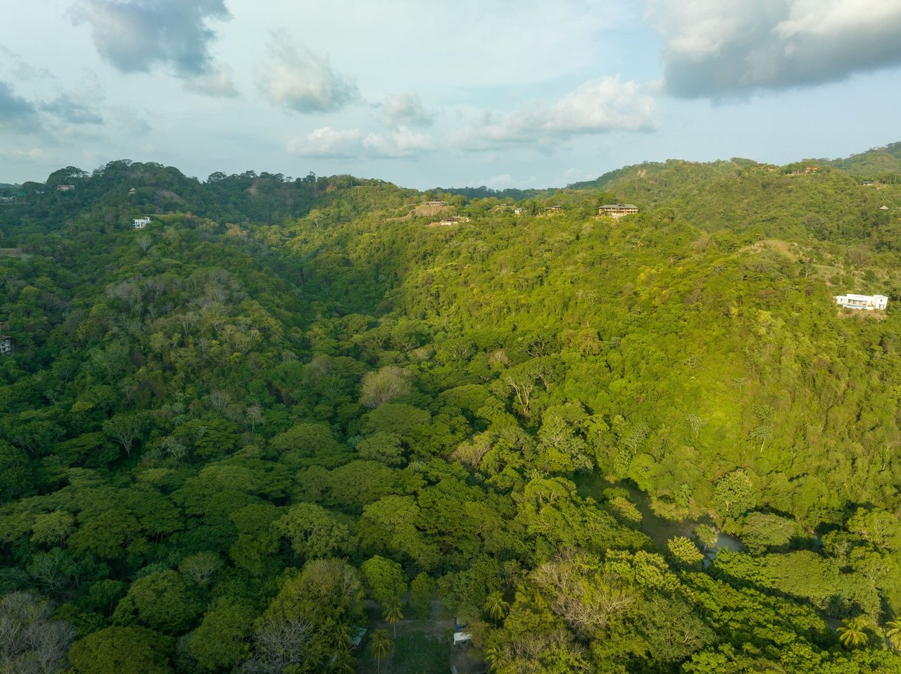 Large Development Land Lot, Santa Teresa, Puntarenas