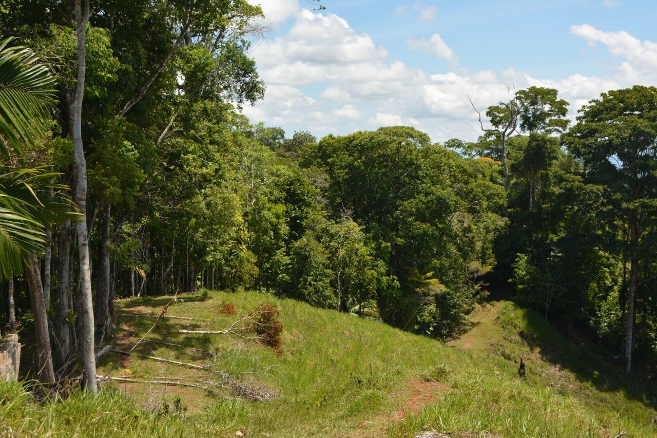 Expansive Ocean View Development Land, Osa, Puntarenas