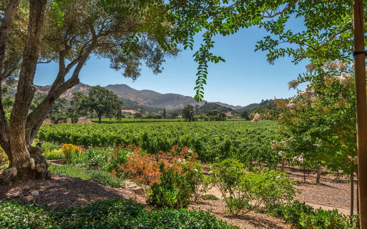 State Lane, Yountville