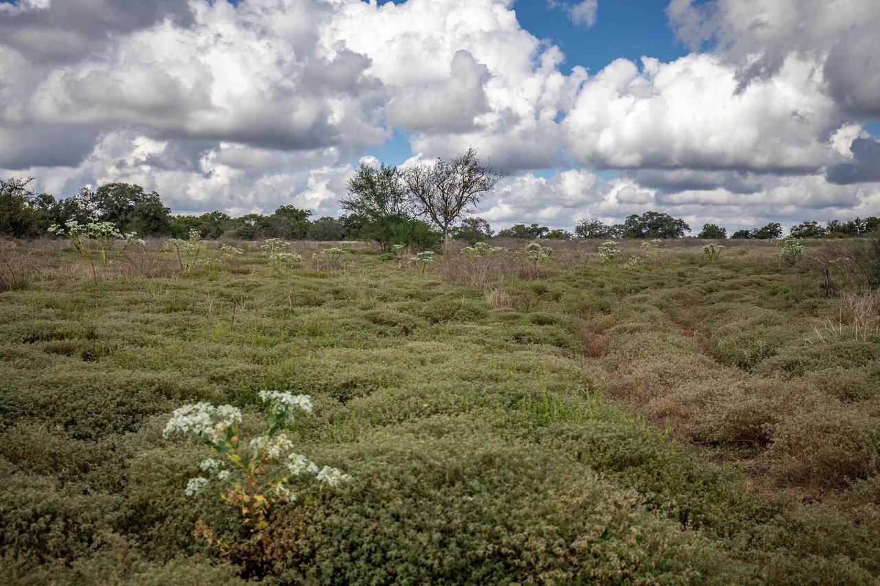 Lovers Lane River Ranch | 140± Acres | DeWitt County