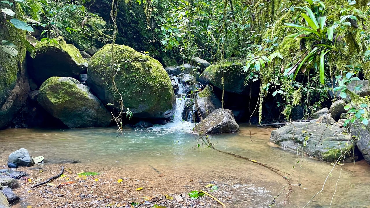 Over 123 Acres Farm in San Josecito De Morete, in Uvita Mountains