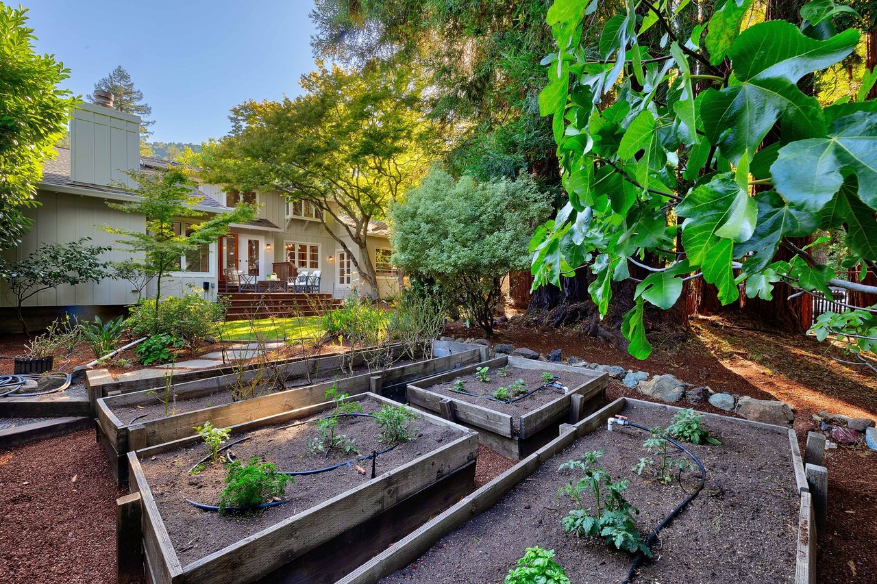 10 Ardmore Road, Larkspur