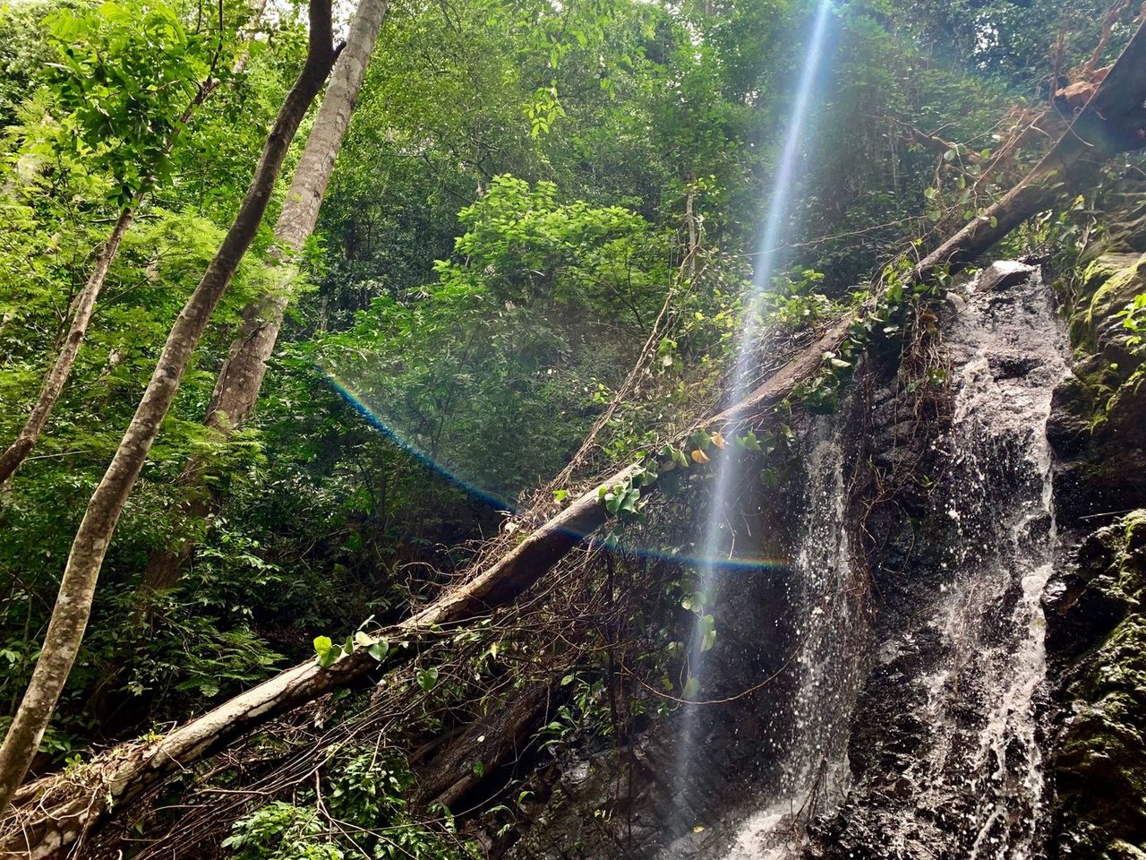 Triple Waterfall Ocean View Land, Dominical, Puntarenas