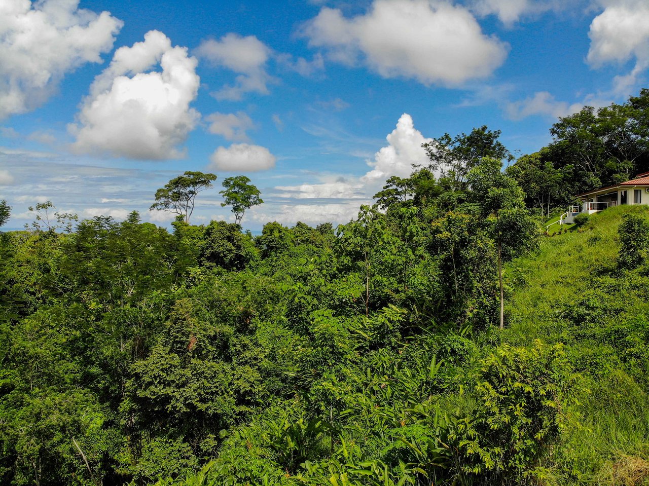 Ocean & Mountain View Half-Acre Lot in Gated Chontales Community