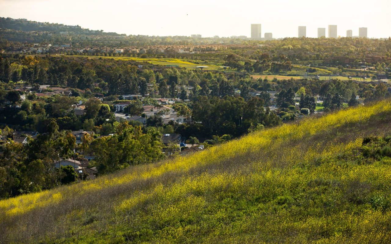 Turtle Ridge