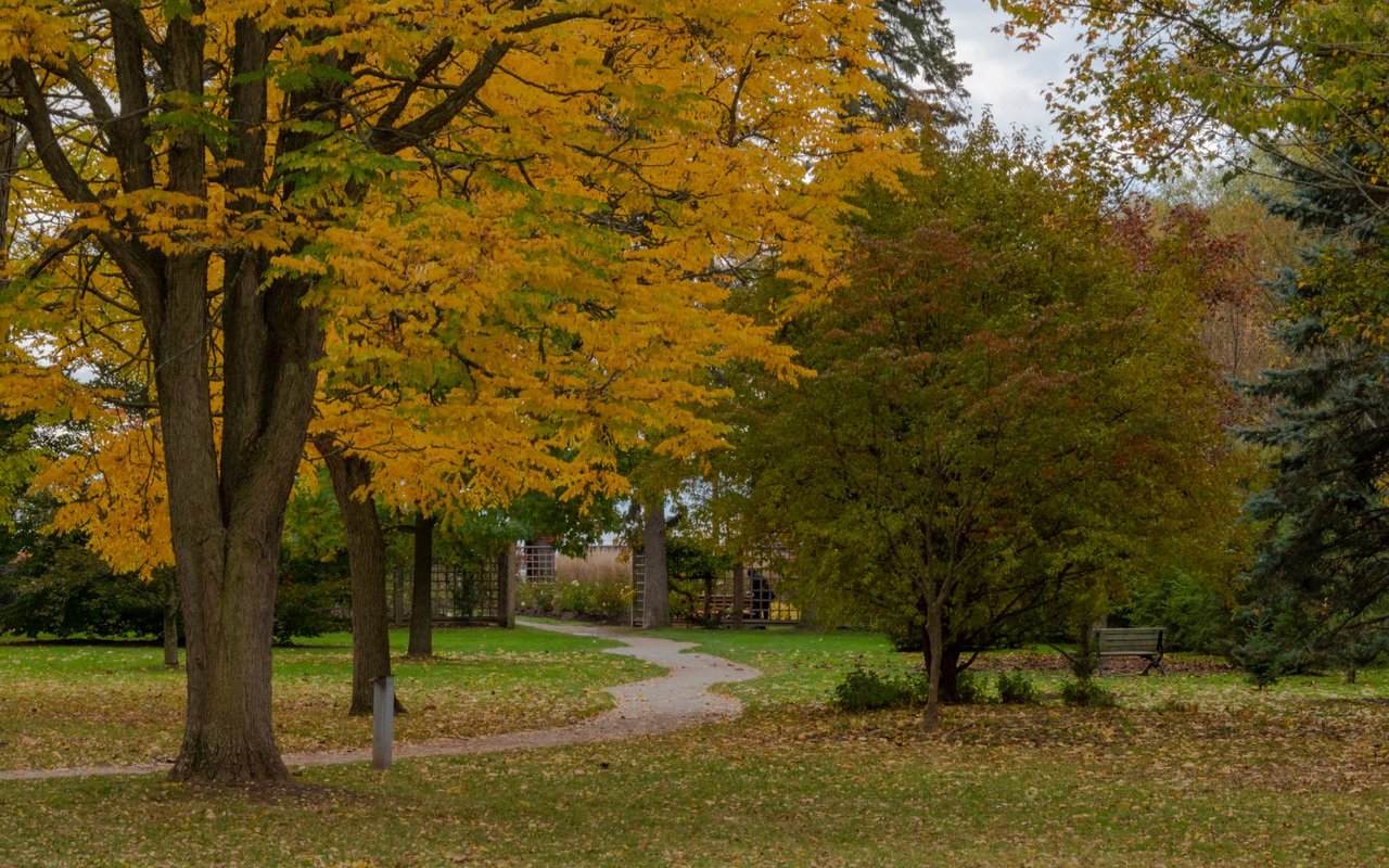 A park with a bench and a path leading through the area.