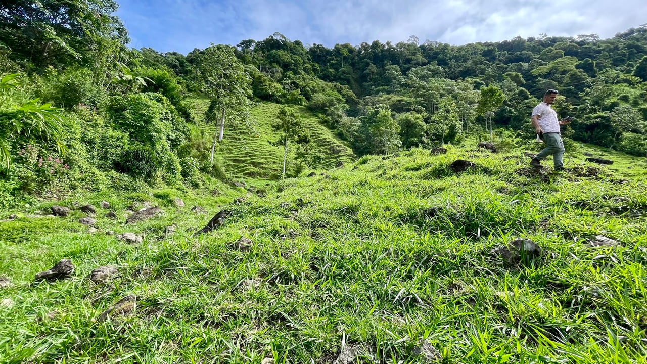 Stunning Ocean View Farm in San Luis de Morete, Over 23 Acres