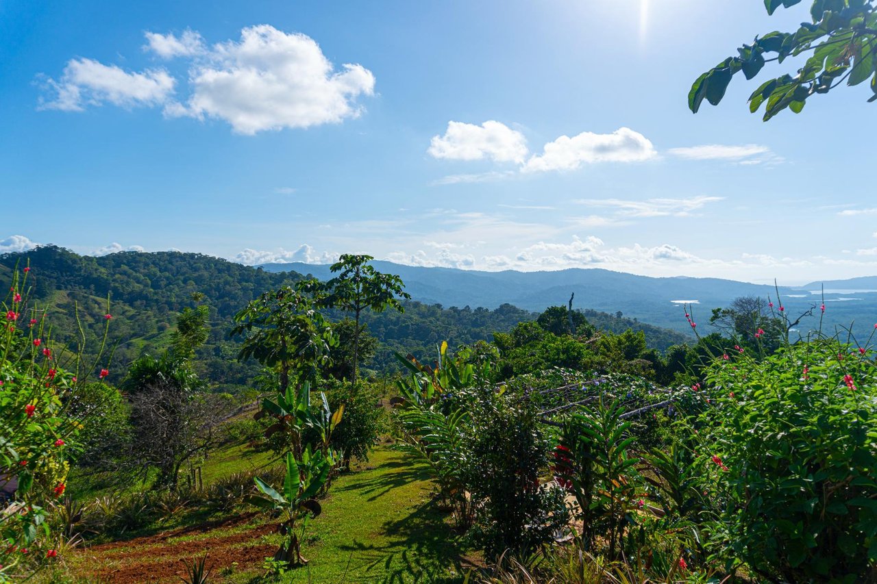 Waterfall Eco Development Land, Osa, Puntarenas