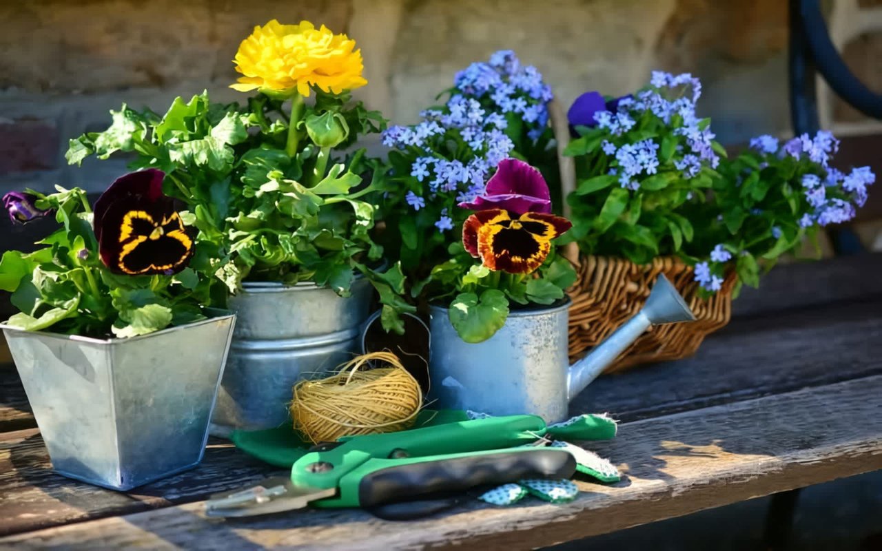 Colorado Gardening