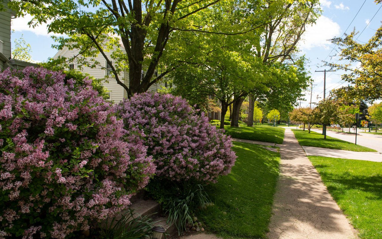 UPPER ARLINGTON