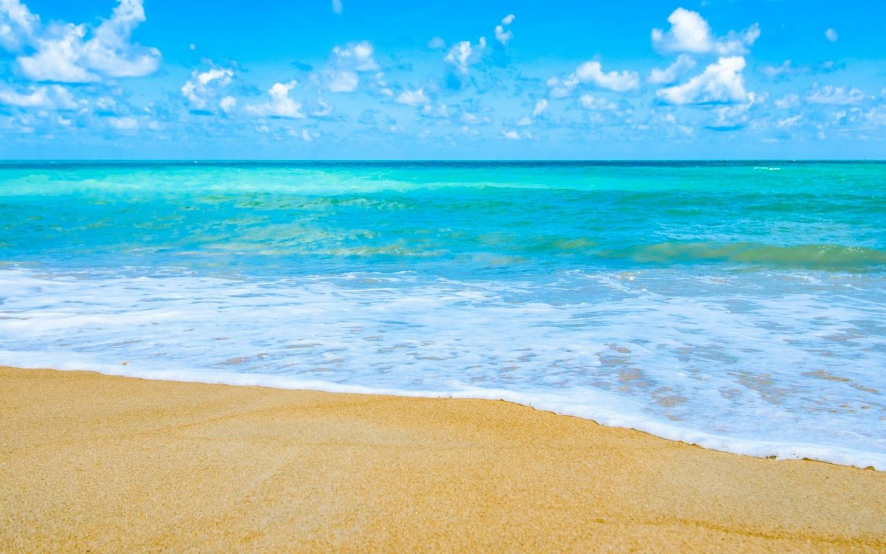 Sarasota Florida Luxury Condo Market
