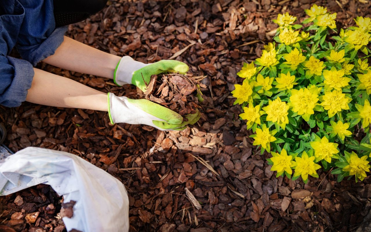 3 Tips for Low-Maintenance Landscaping