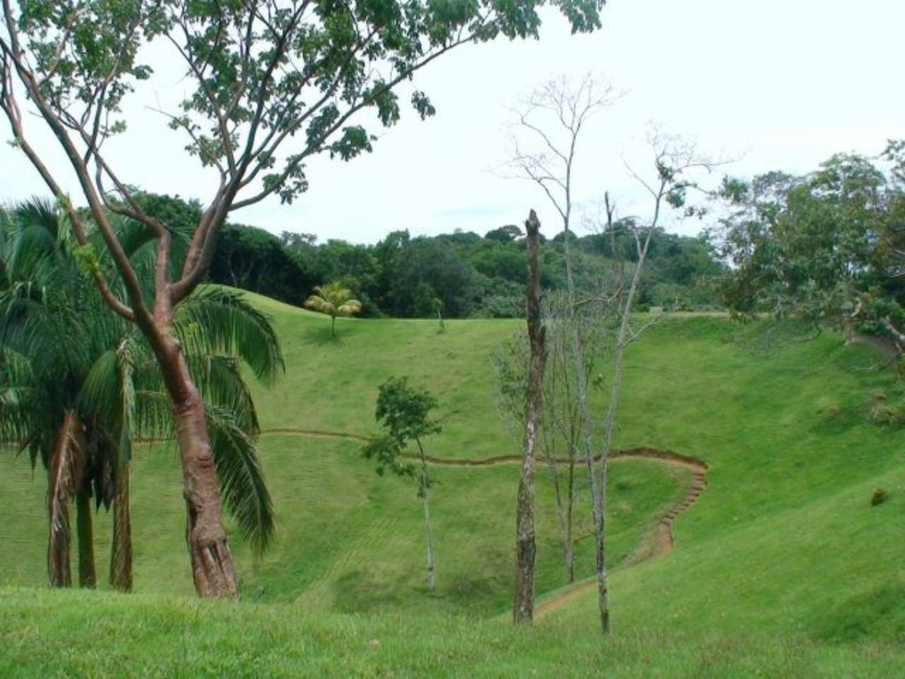 Prime Development Homesite, Manuel Antonio, Puntarenas