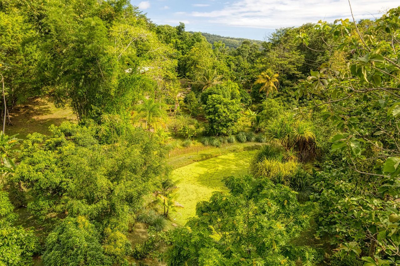 Riverfront Jungle Eco Resort, Perez Zeledon, San Jose