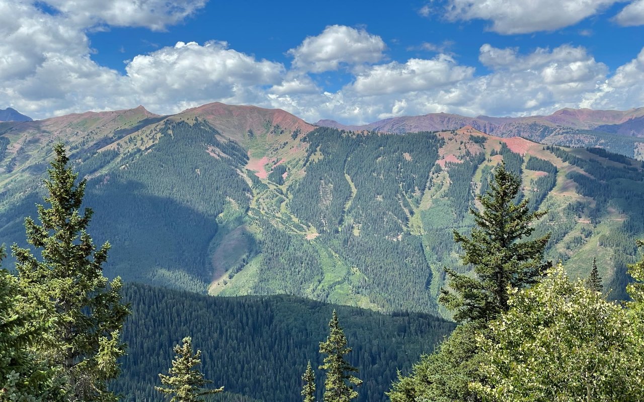 You Can Be Above It All!