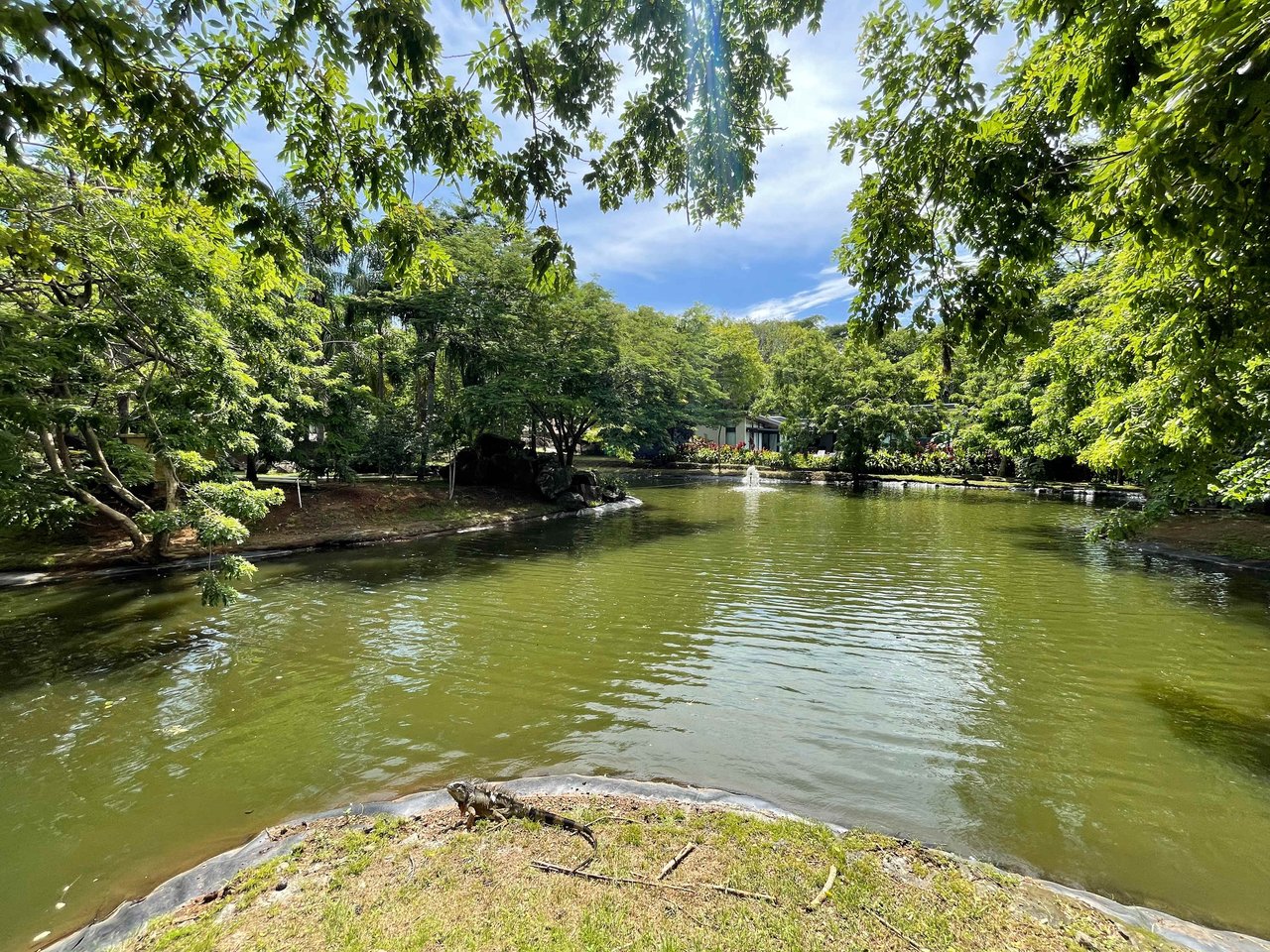 Senderos Lot | Phase 1 Luxury Gated Community Turn Key Lot!