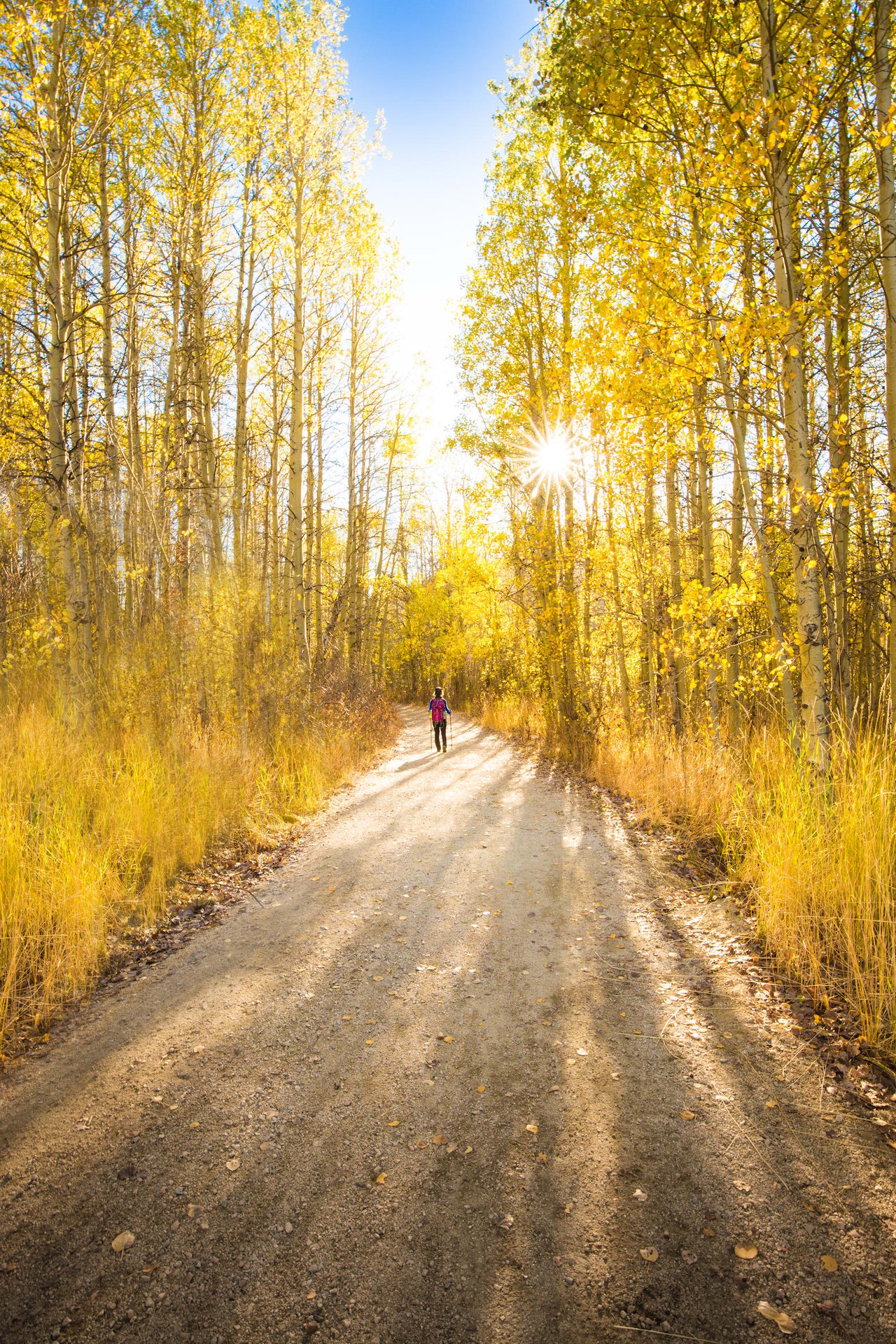 7 Must-Do Fall Hikes in Truckee and Lake Tahoe
