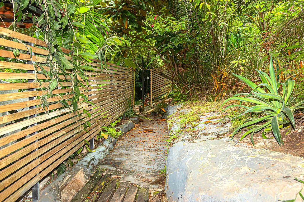 Multi Residence Jungle Compound, Manuel Antonio, Puntarenas
