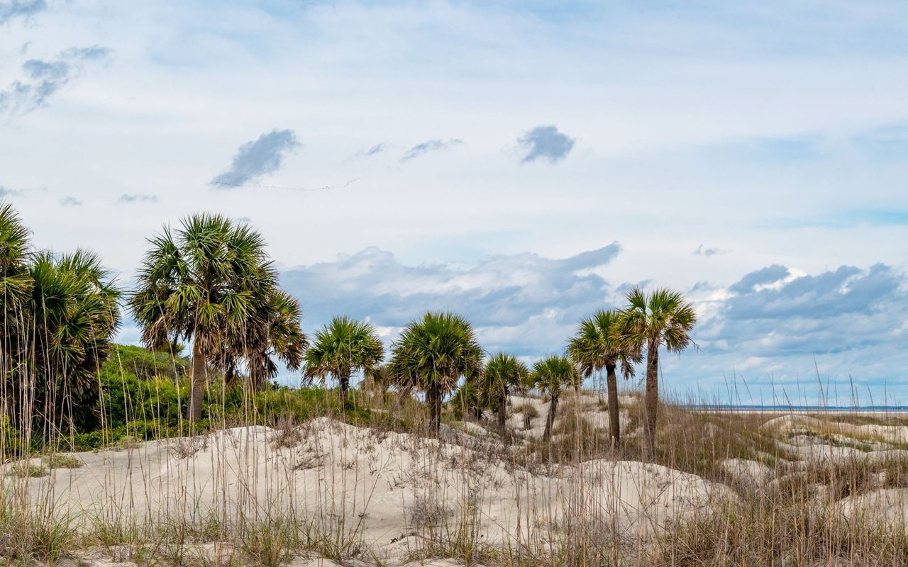 Palmetto Dunes