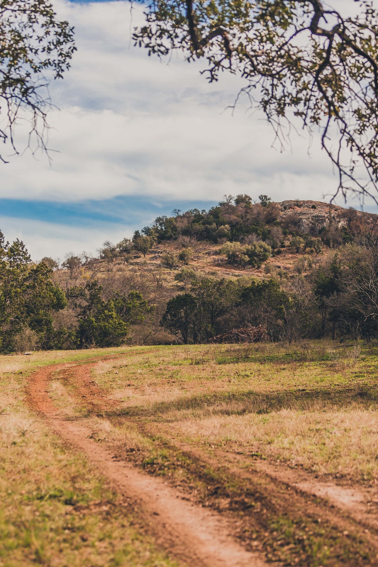 Cuatro Colinas Ranch