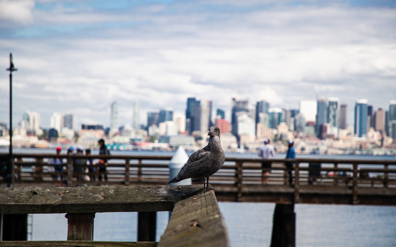 West Seattle