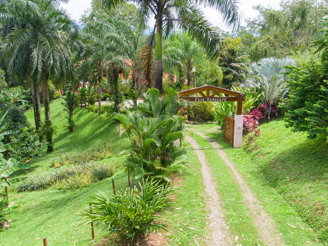 Stunning Tropical Home in Gated community with Hundreds of fruit trees  