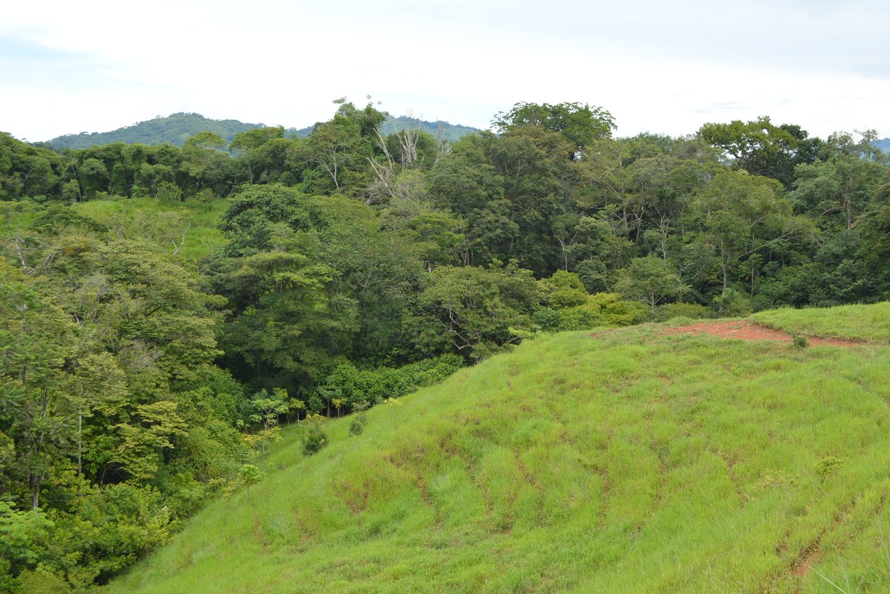 GORGEOUS 35 ACRES WITH WATERFALL AND 360 VIEWS 