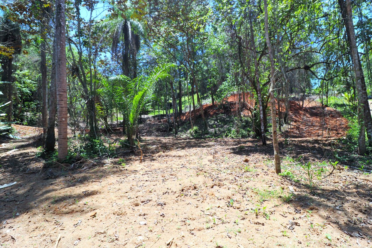 Over One Acre Attractive Lot on the Popular PEREZOSO Road.