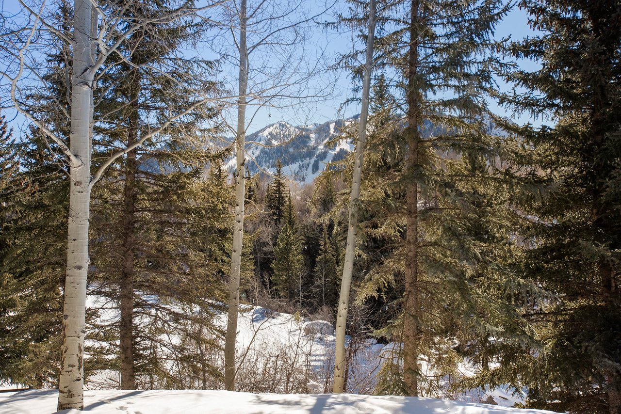 Pitkin Way Chalet
