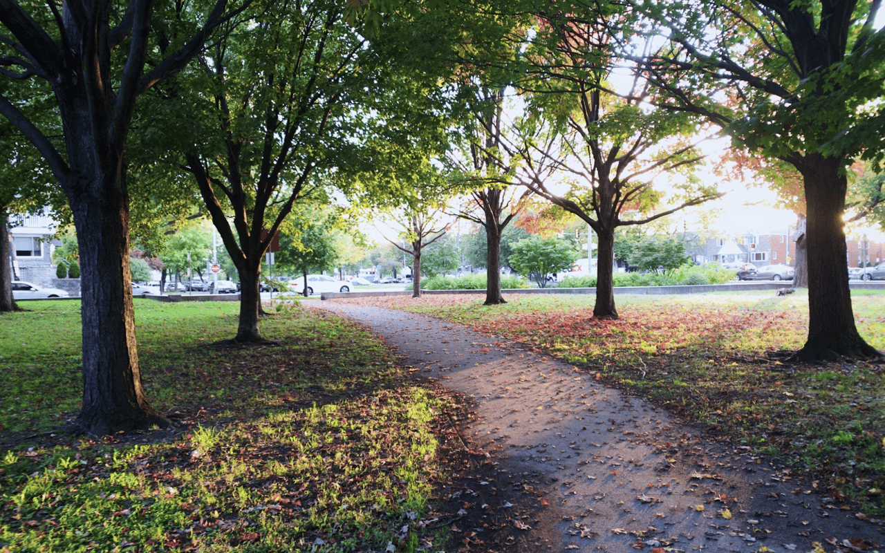 A Guide to Philadelphia, PA Parks