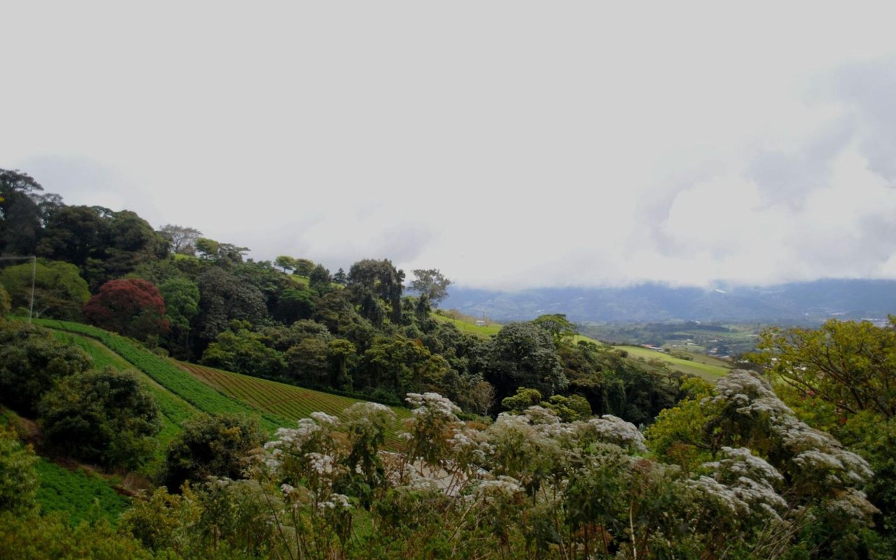 Land for Sale in Costa Rica: Build Your Dream Home
