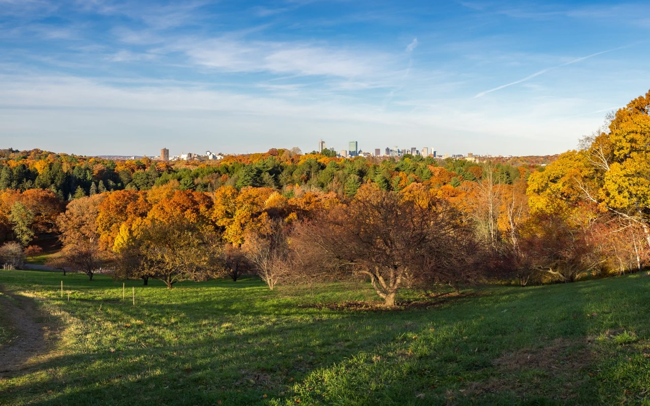 Jamaica Plain